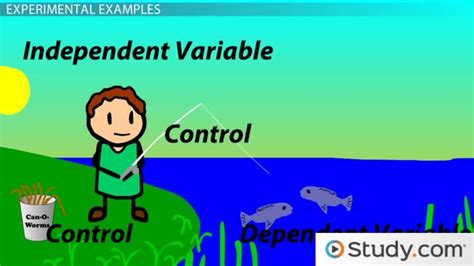 Independent And Dependent Variables Examples