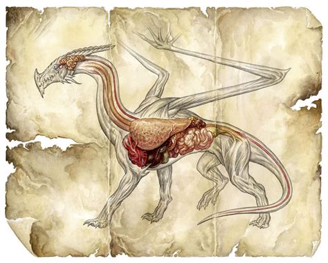 THE ART OF JIM NELSON: Dragon Anatomy