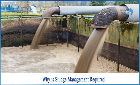 Why is Sludge Management required - Netsol Water