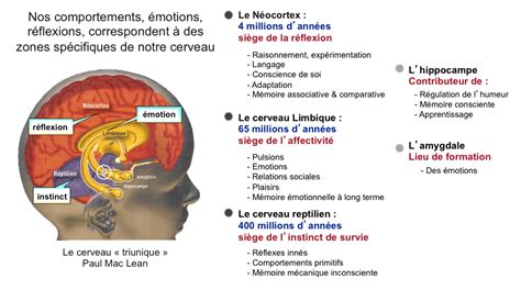 Se transformer et performer durablement - intelligence émotionnelle