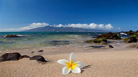 Hawaiian Beach Wallpaper (54+ images)