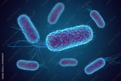 Escherichia Coli (E. Coli.) cells or bacteria under microscope Stock ...