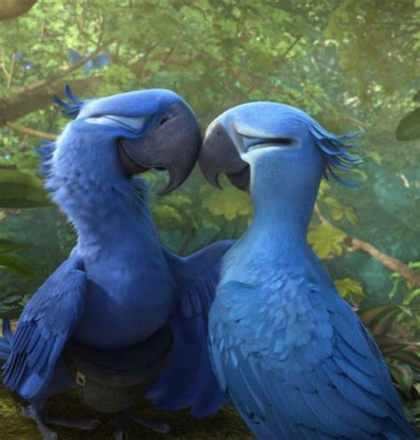 The Blue Spix's Macaw Parrot Seen In The Movie ‘Rio’ Is Now Extinct