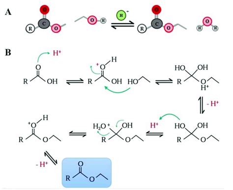 Fischer Esterification: (A) general esterification reaction by the ...