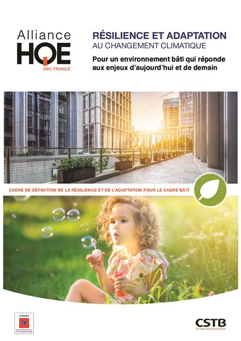 Cadre de définition de la résilience et de l’adaptation pour le cadre ...