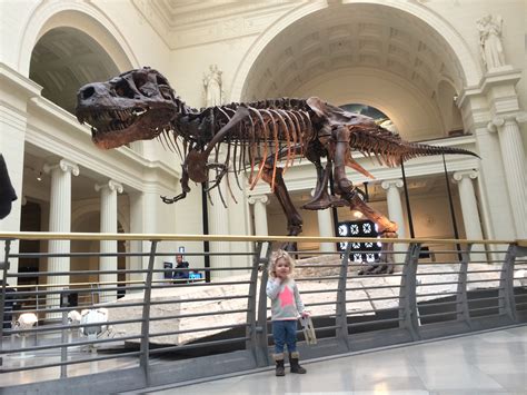 T-Rex 'Sue' Field Museum Chicago - Wander Mum