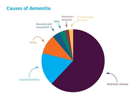 Common Cause of Dementia - Alzheimer's Disease