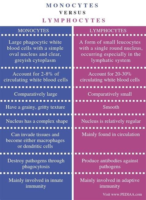 What is the Difference Between Monocytes and Lymphocytes - Pediaa.Com