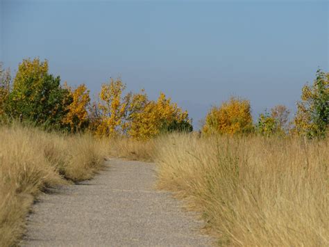 Nose Hill Park natural vegetation Hill Park, Calgary Alberta, Hiker ...