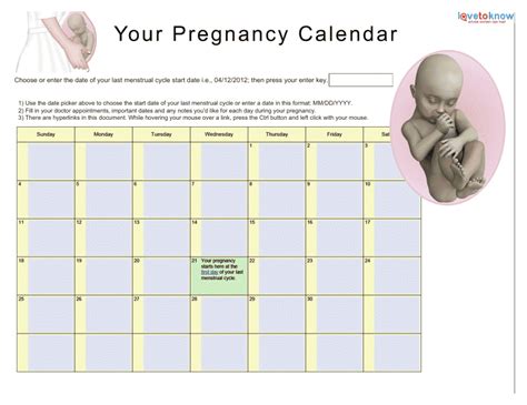 Pregnancy Calendar Download Fillable PDF | Templateroller