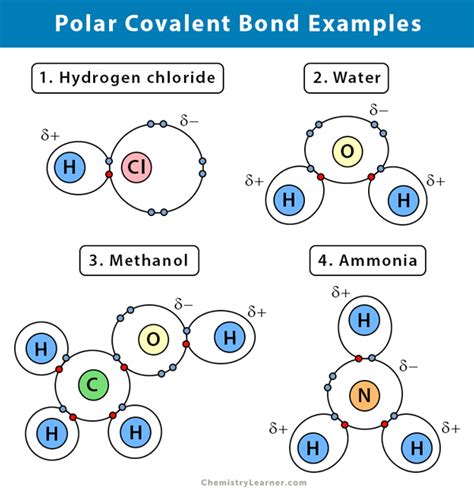 Polar Covalent Bond: Definition and Examples