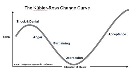 Kubler-Ross Five Stage Model