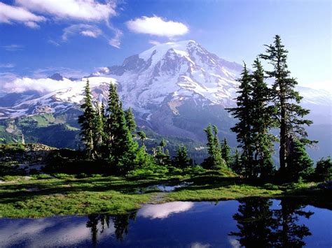 Mount Rainier National Park Wallpapers - Wallpaper Cave