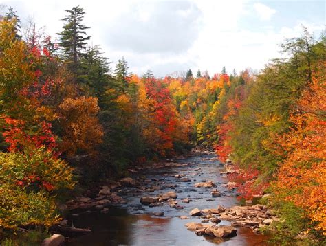 West Virginia's Fall Foliage Is Expected To Be Bright And Bold This Year