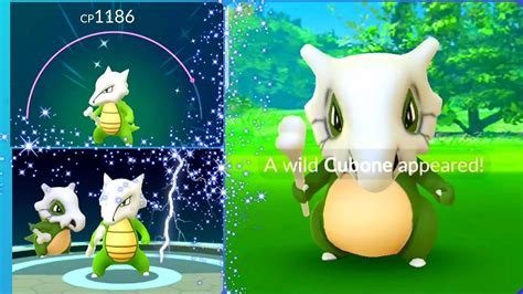 Shiny Cubone Caught! Shiny Marowak Evolution in Pokemon Go - YouTube