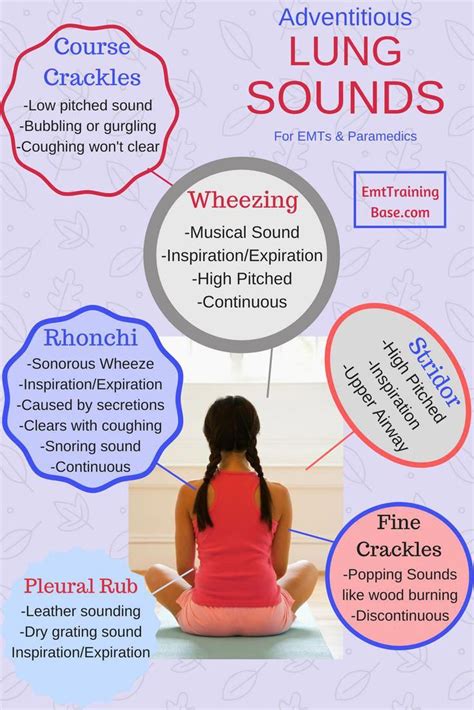 Adventitious Lung Sounds include wheezing, stridor, crackles, rhonchi ...