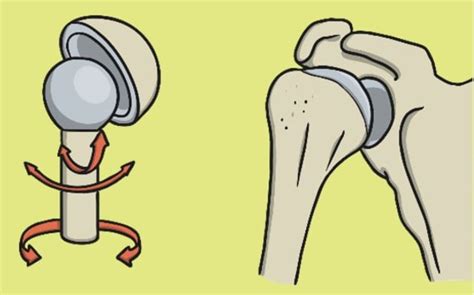 What are the joints in the human body? | Twinkl Teaching Wiki