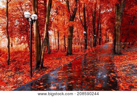 Autumn Landscape. Red Image & Photo (Free Trial) | Bigstock