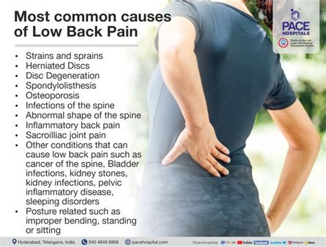 Lower Back Pain Causes