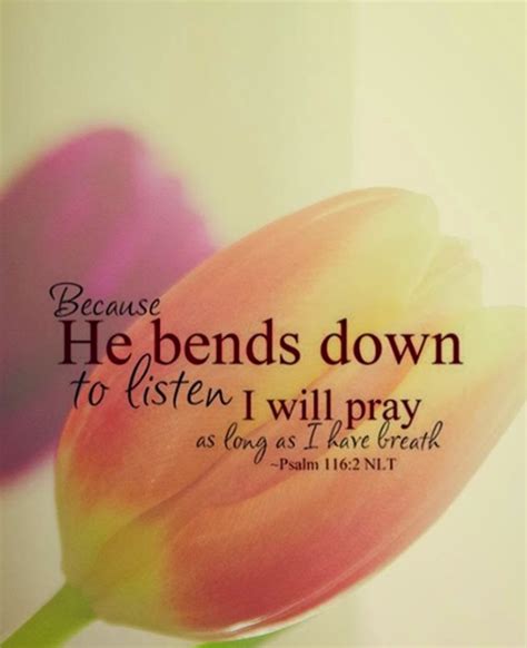 god hears our prayers - Google Search | Scripture quotes, Faith ...