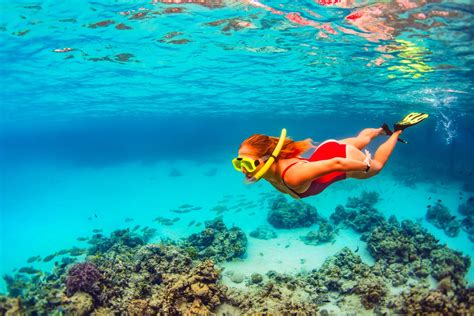 The 10 Best Snorkeling Spots In Nassau, The Bahamas | Sandals