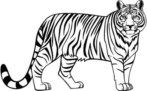 Tiger clip arts images free download black and white background | Tiger ...