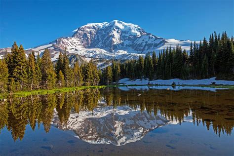 Mount Rainier National Park | Ashford, WA