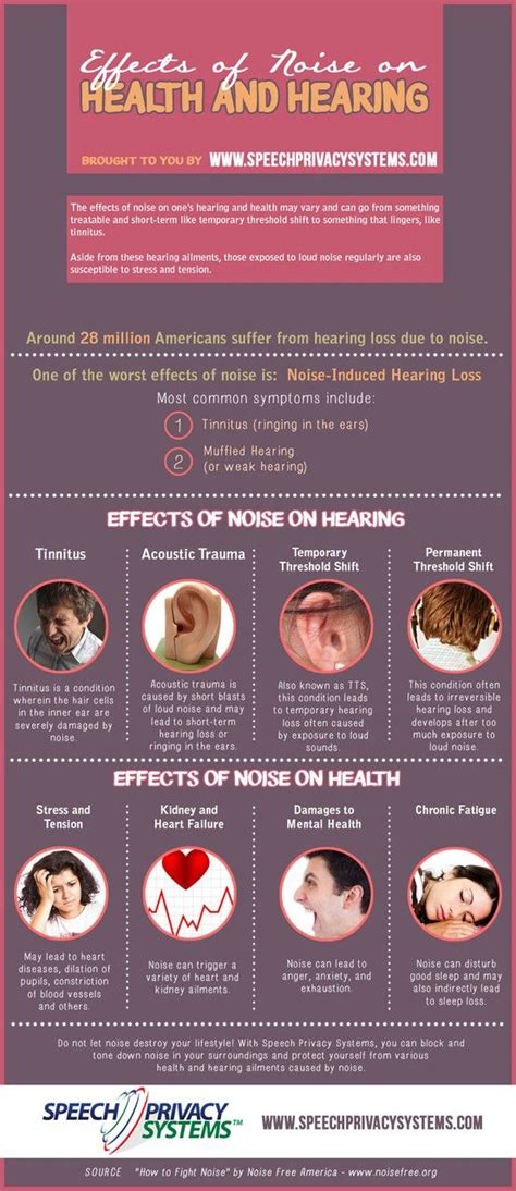 Noise Pollution Infographic