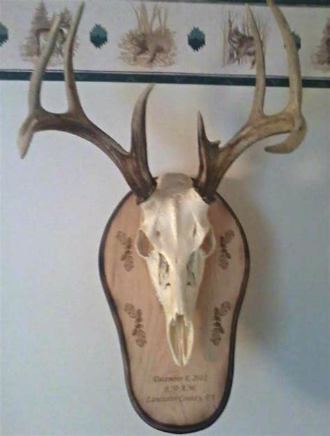 Custom Engraved Taxidermy Plaque Photo Gallery