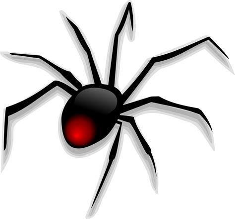 Free Cartoon Spiders, Download Free Cartoon Spiders png images, Free ...