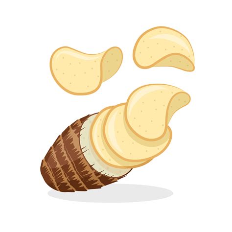 Vector illustration of taro chips, isolated on a white background ...