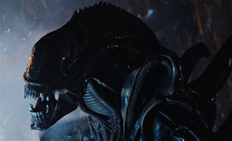 Alien: What's Going On With the New Movie and TV Series? | Den of Geek