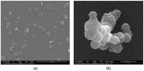 Molecules | Free Full-Text | Chitosan Nanoparticles-Preparation ...