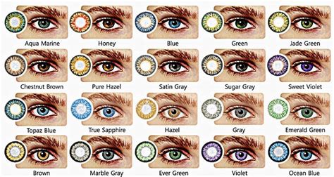 All About The Human Eye Color Chart