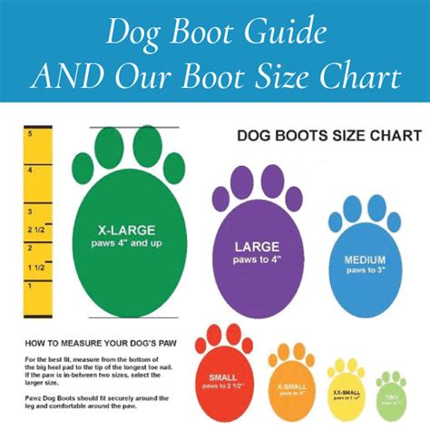 The Definitive Guide to Dog Boots and Boot Sizing. – Canine Styles