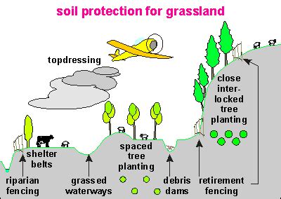 Forest Conservation: Various Methods Of Forest Conservation