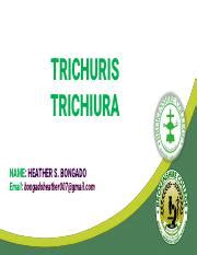 Understanding Trichuris trichiura: Symptoms, Diagnosis, and | Course Hero