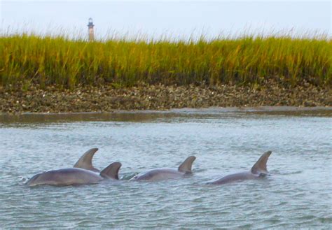 Kim Wolterman: Folly Beach, South Carolina