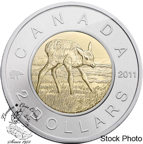 Canada: 2011 $2 Toonie Special Edition Specimen Coin Set - Elk Calf ...