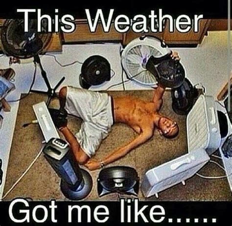 Summer in Alabama be like...... | Funny pictures, Funny jokes, Funny ...