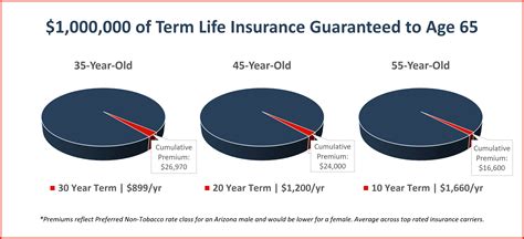 Insuring Your Economic Value with Term Life Insurance | Risk Resource