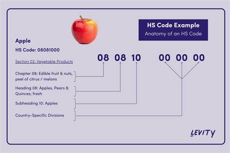 A Beginner’s Guide to HS Code Automation - With 2022 HS Code Updates