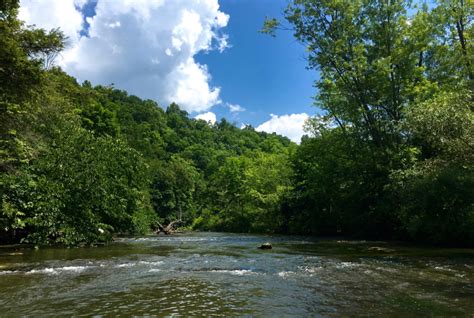 Summer into Fall: Fly Fishing the Legendary Spring Creek in Central ...