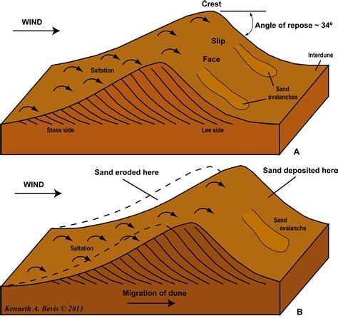 Formation and propagation of a sand dune. An Introduction to Physical ...