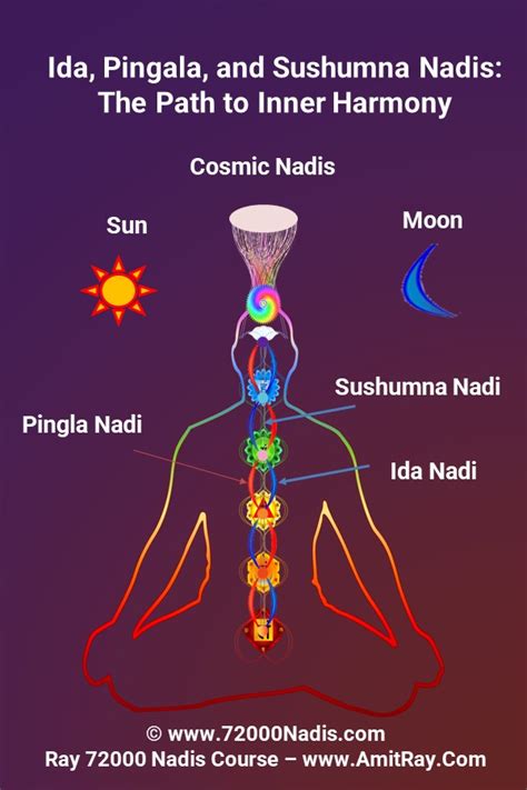 Exploring Ida, Pingala, and Sushumna Nadis: The Path to Inner Harmony