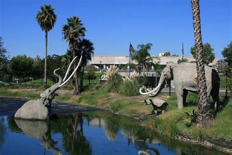 La Brea tar pits mammoths | For more fossils and info on the… | Flickr