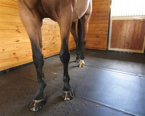 Horse Stable Mat – FOAMTECH