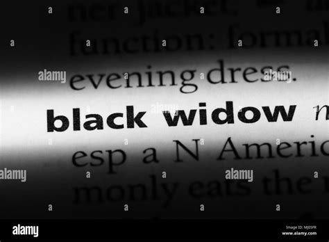 black widow word in a dictionary. black widow concept Stock Photo - Alamy