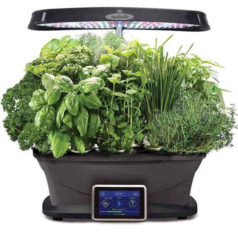 The Best Indoor Herb Garden Kits | Indoor Gardening