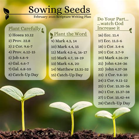 Sowing Seeds: February 2023 Scripture Writing Plan – Elihu's Corner